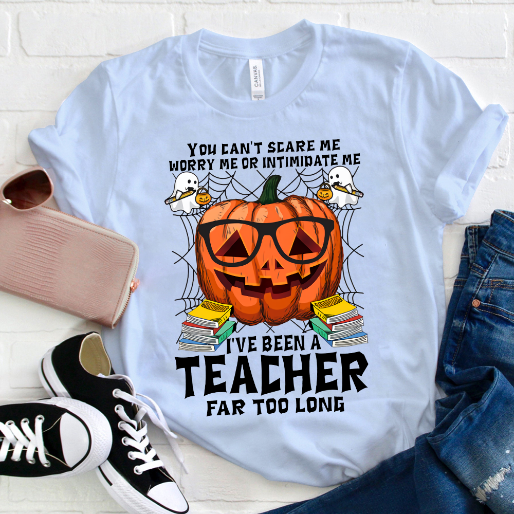 I've Been A Teacher Far Too Long T-Shirt