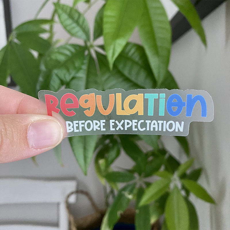 Regulation Before Expectation Teacher Stickers
