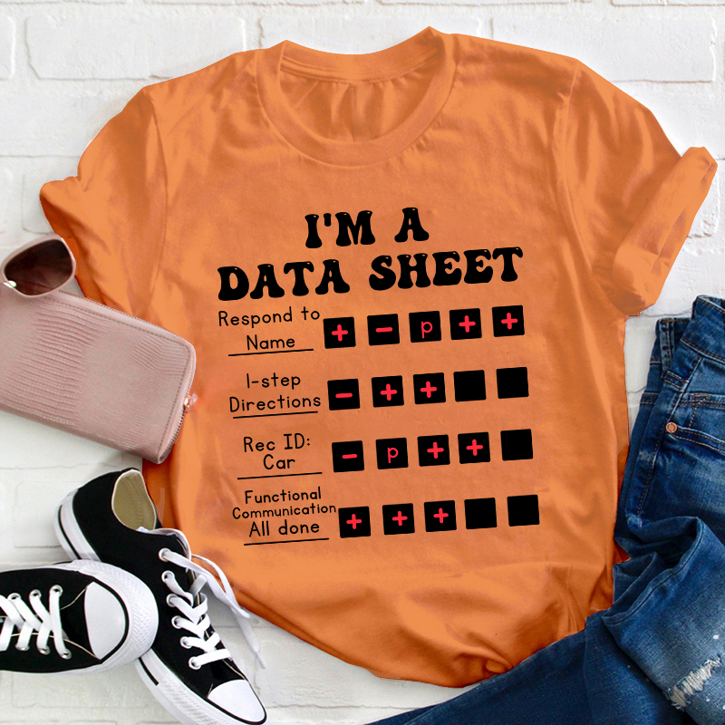 I Am A Data Sheet Teacher T-Shirt