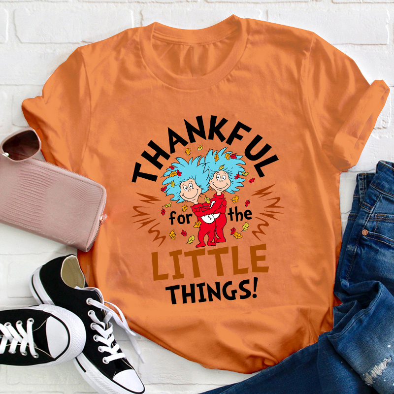 Thankful For The Little Things Teacher T-Shirt