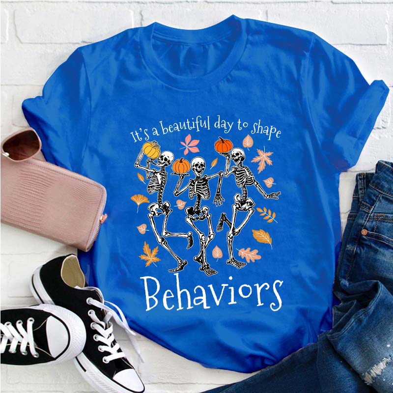 It's A Beautiful Day To Shape Behaviors Teacher T-Shirt