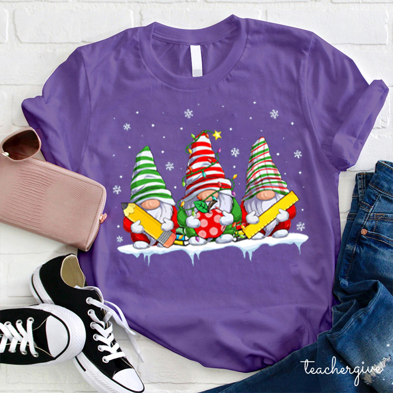 Gnomes Wish You Have A Great Time Teacher T-Shirt