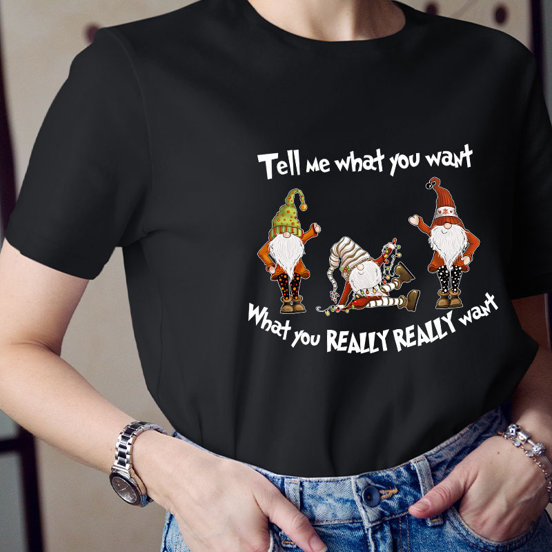 Tell Me What You Want Teacher T-Shirt