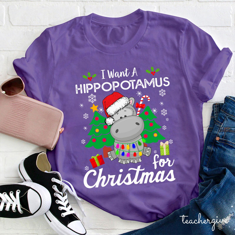 I Want A Hippopotamus For Christmas Teacher T-Shirt