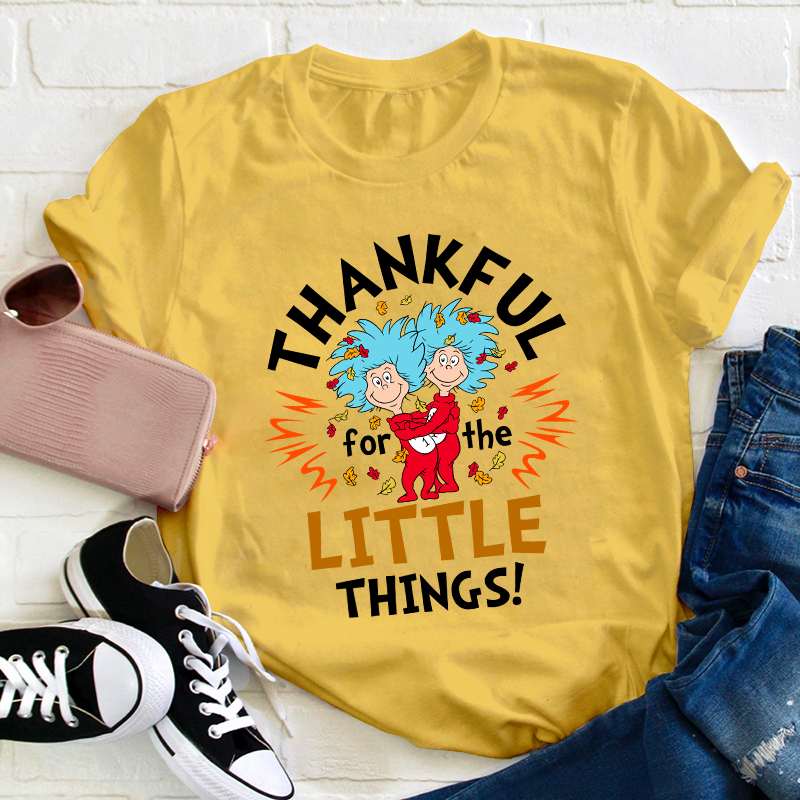 Thankful For The Little Things Teacher T-Shirt
