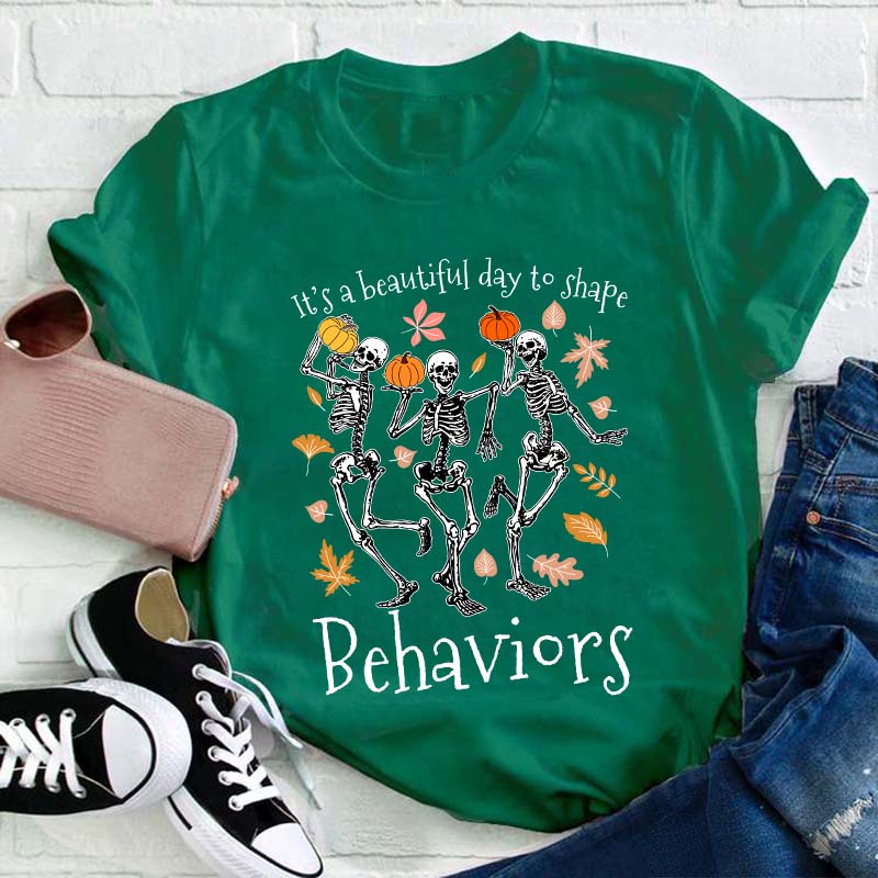 It's A Beautiful Day To Shape Behaviors Teacher T-Shirt