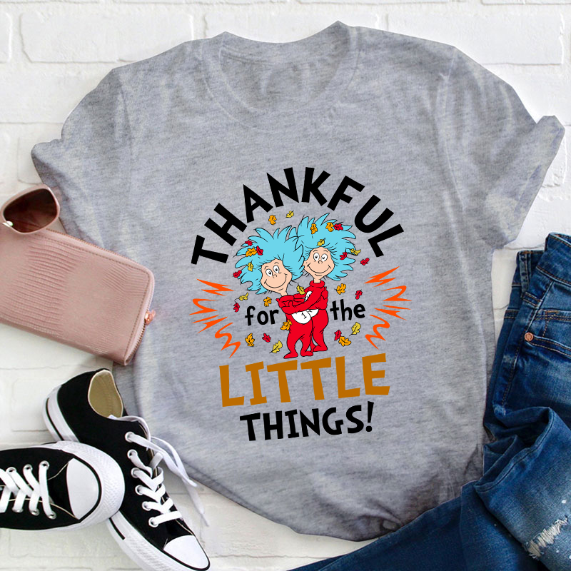 Thankful For The Little Things Teacher T-Shirt