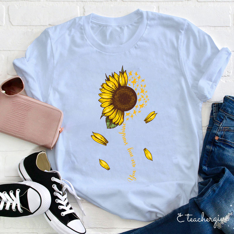 You Are My Sunshine Teacher T-Shirt