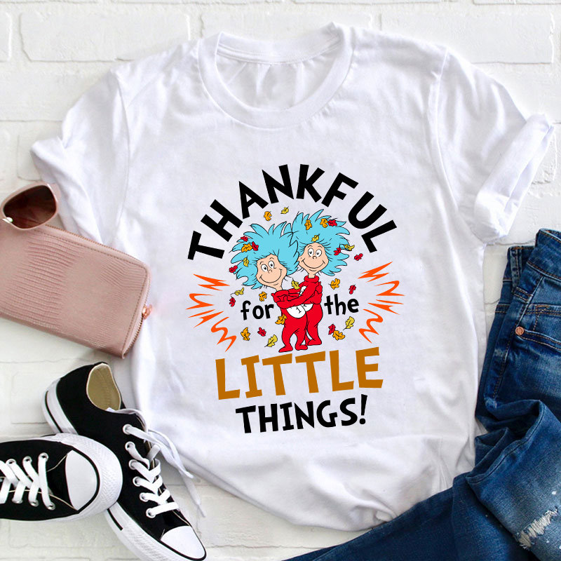 Thankful For The Little Things Teacher T-Shirt