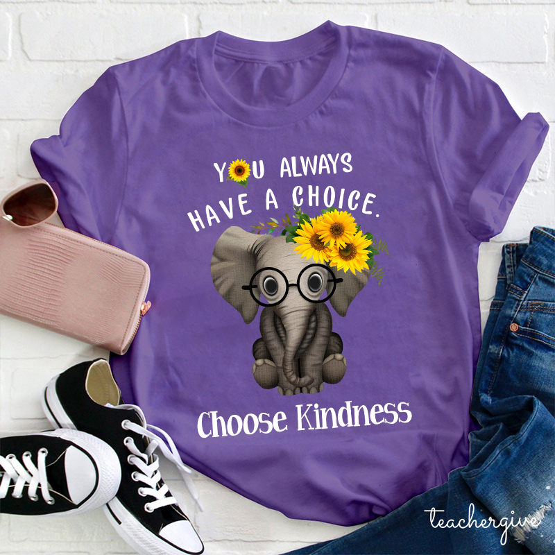 You Always Have A Choice Choose Kindness Teacher T-Shirt