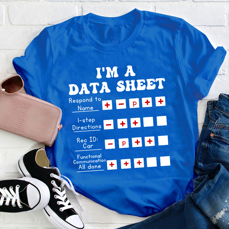I Am A Data Sheet Teacher T-Shirt