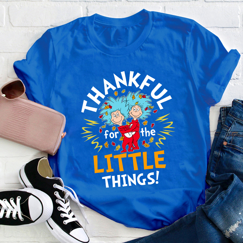 Thankful For The Little Things Teacher T-Shirt