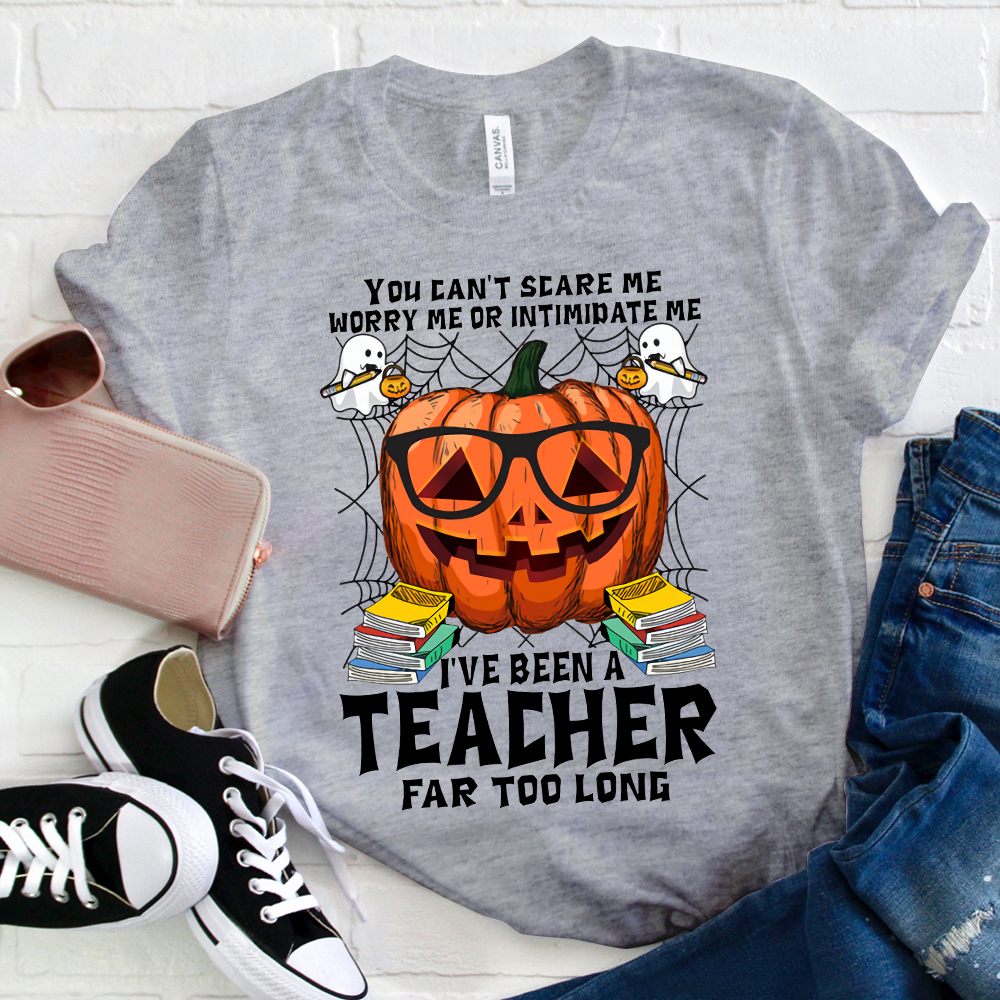 I've Been A Teacher Far Too Long T-Shirt