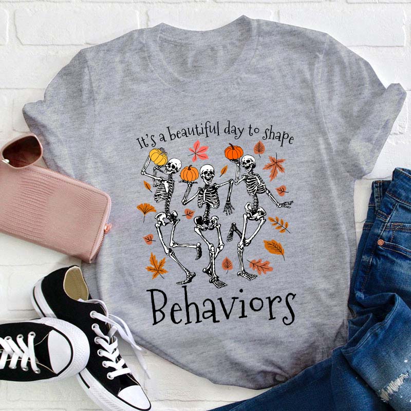 It's A Beautiful Day To Shape Behaviors Teacher T-Shirt