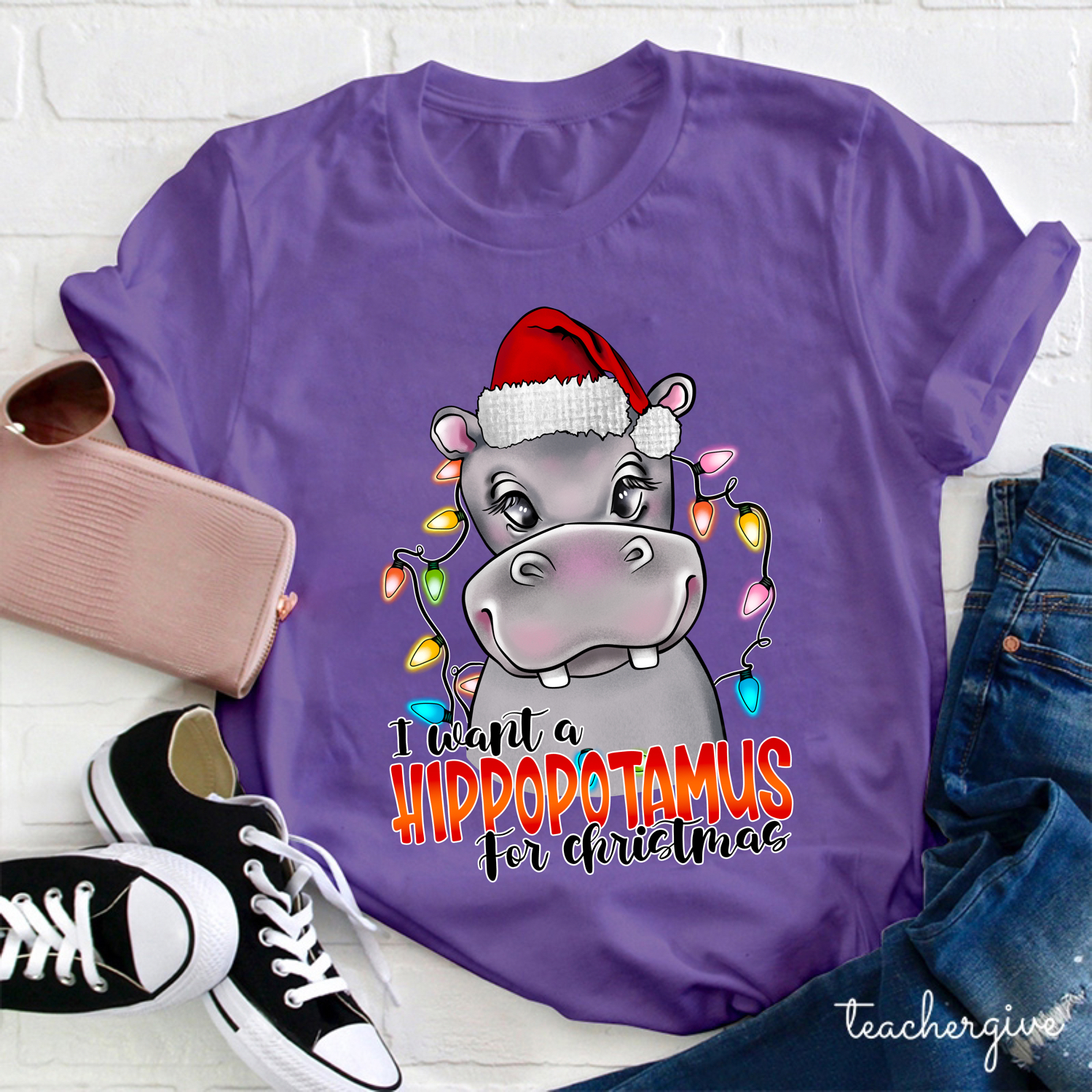 I Want A Hippopotamus For Christmas Teacher T-shirt