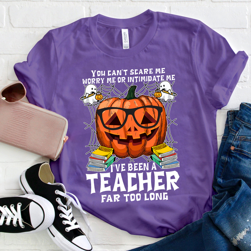 I've Been A Teacher Far Too Long T-Shirt