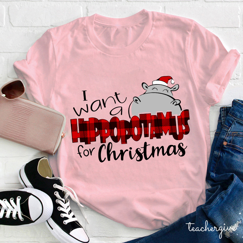 I Want A Hippopotamus For Christmas Teacher T-Shirt