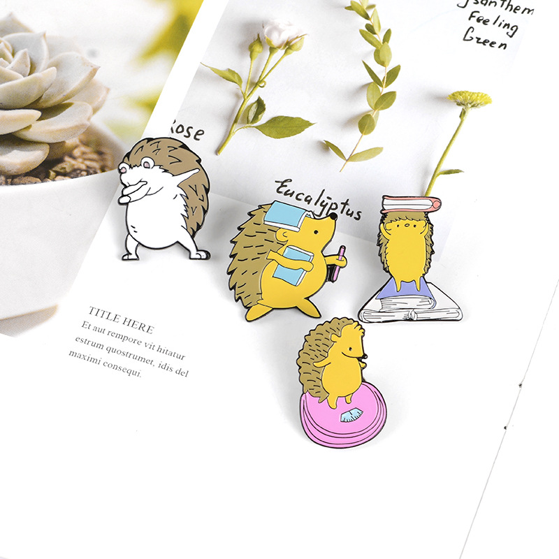 Cute Hedgehog And Books Pin Set