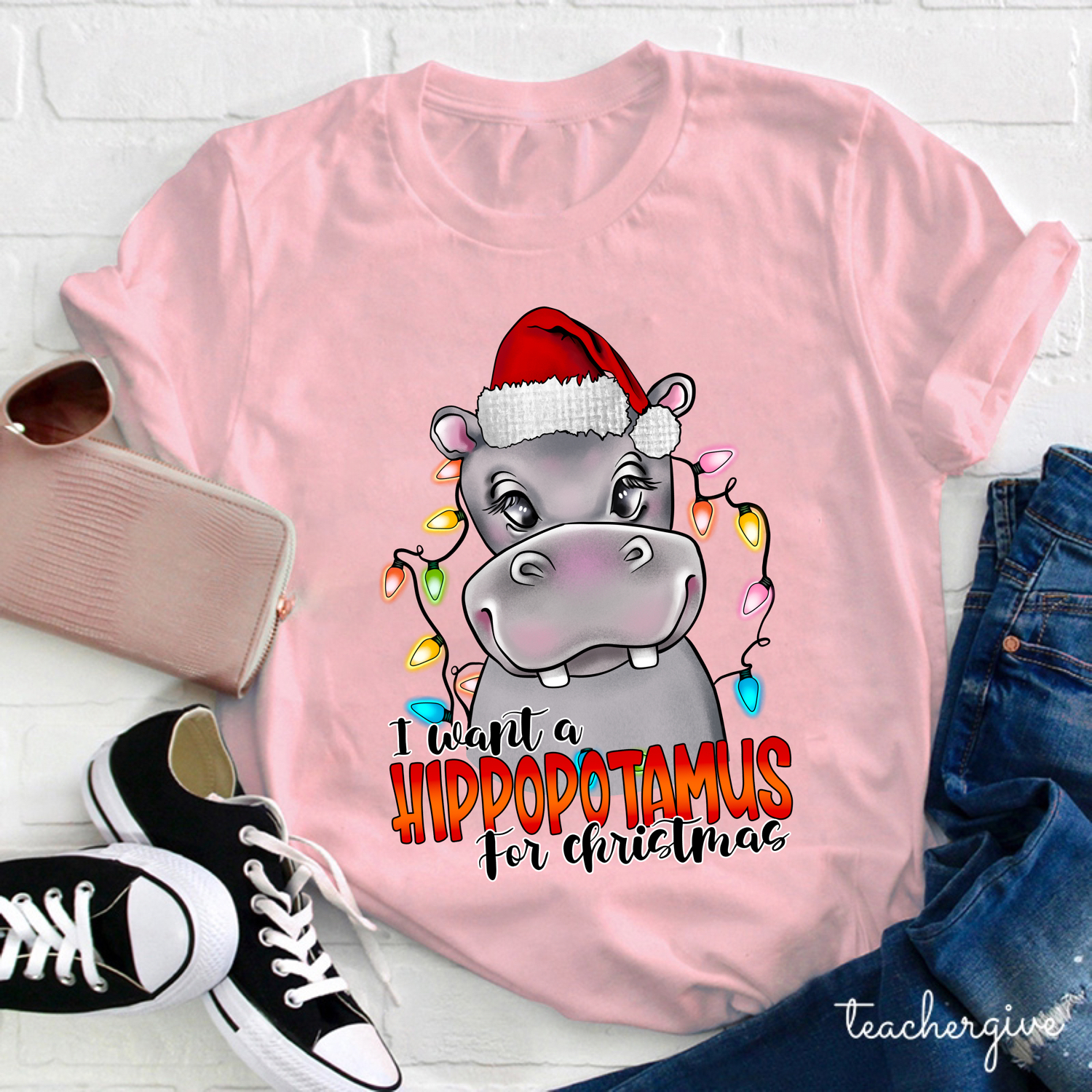 I Want A Hippopotamus For Christmas Teacher T-shirt