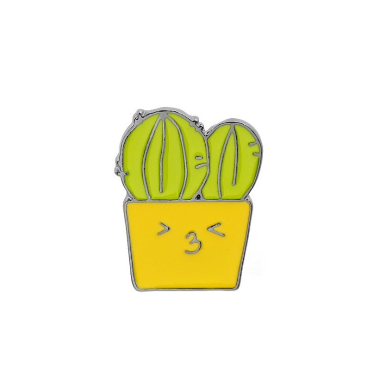Cute Cactus Flowers Pin Set
