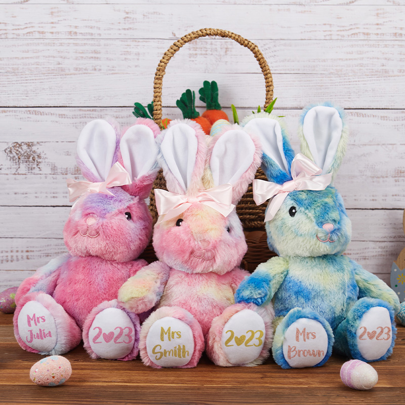 Cute Fluffy Bunny Teacher Plush Toy