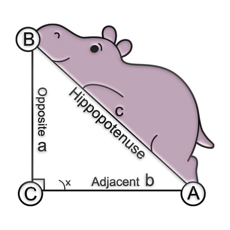 Discipline Formula Cute Animal Pin Set