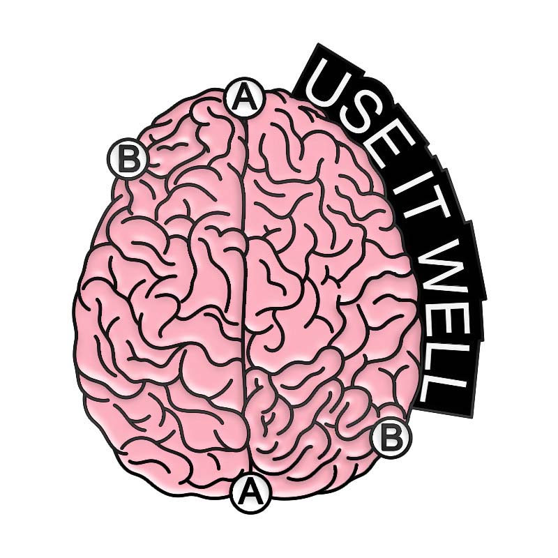 Discipline Formula Cute Animal Pin Set