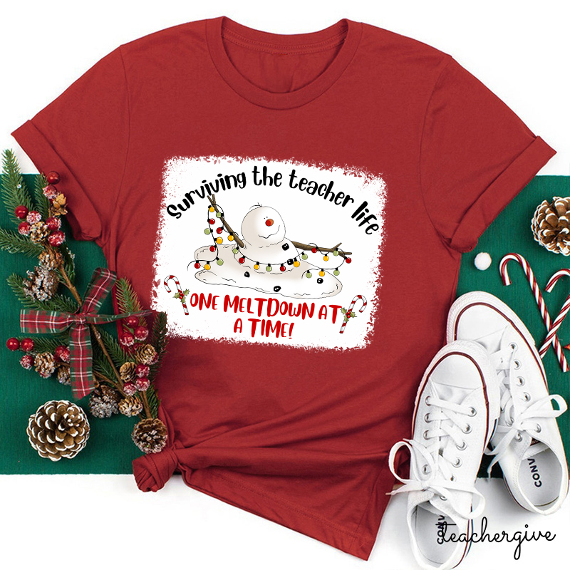 Surviving The Teacher Life One Meltdown At A Time Teacher T-Shirt