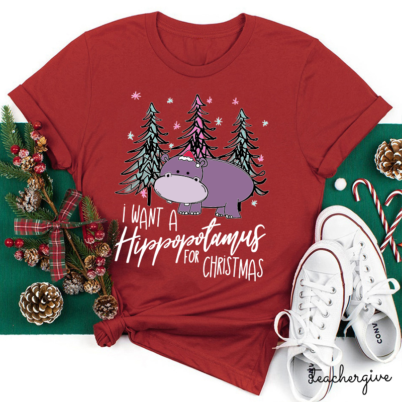I Want A Hippopotamus For Christmas Teacher T-Shirt