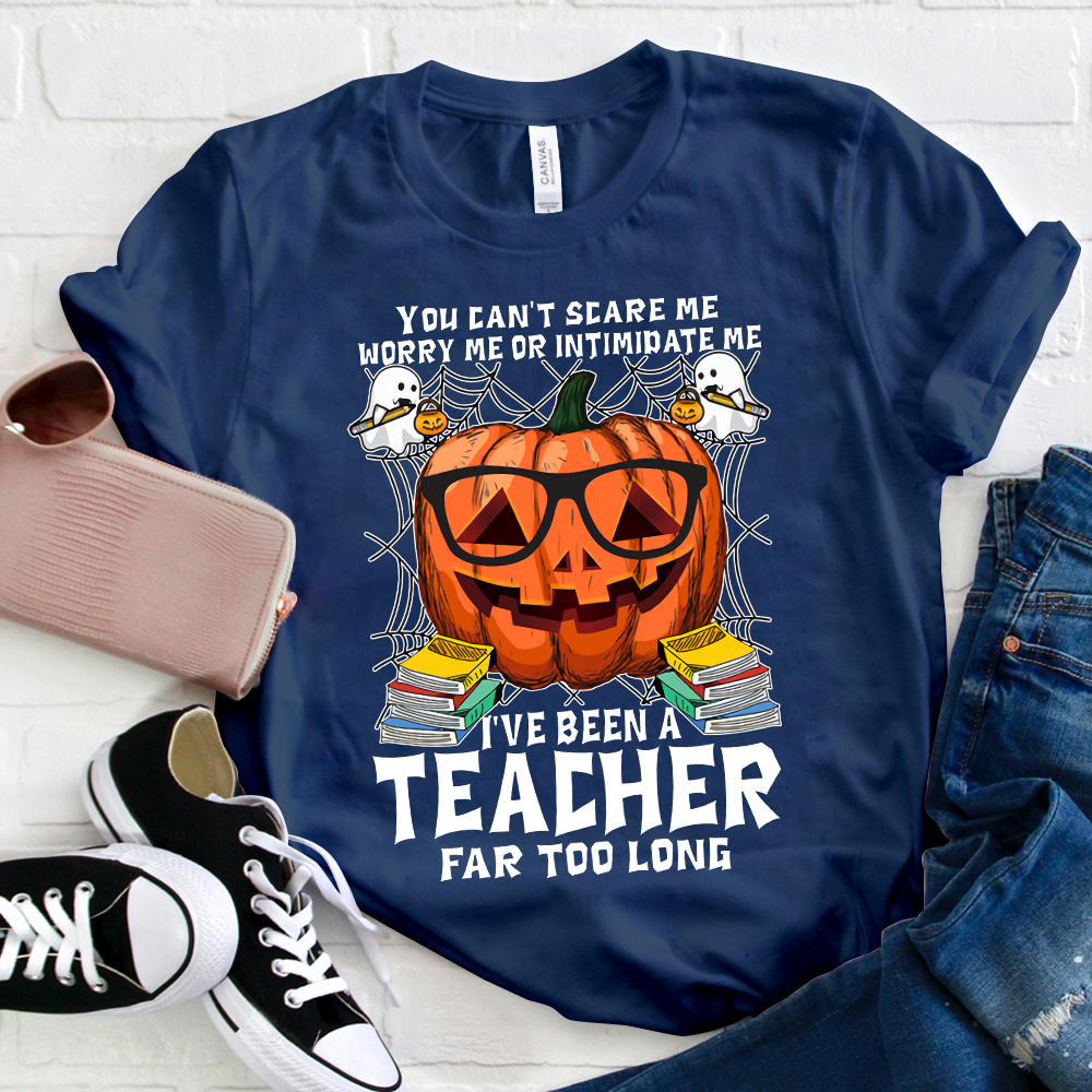 I've Been A Teacher Far Too Long T-Shirt