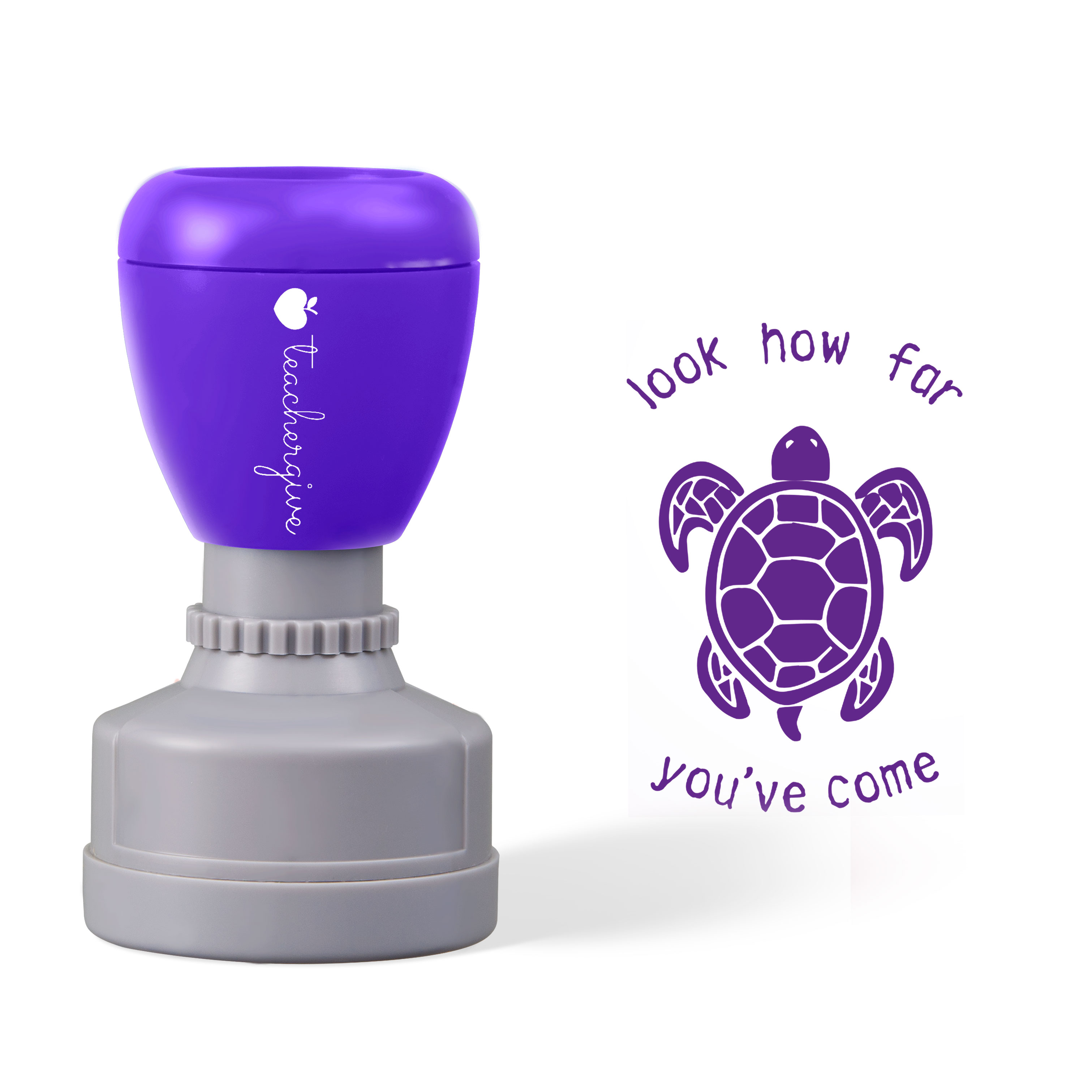 Turtle Teacher Stamp