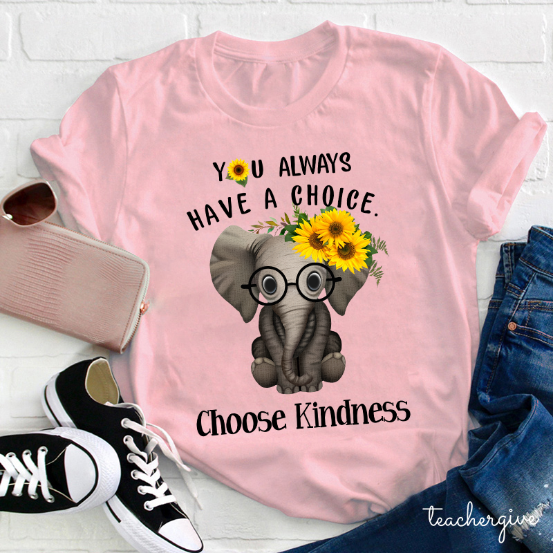 You Always Have A Choice Choose Kindness Teacher T-Shirt