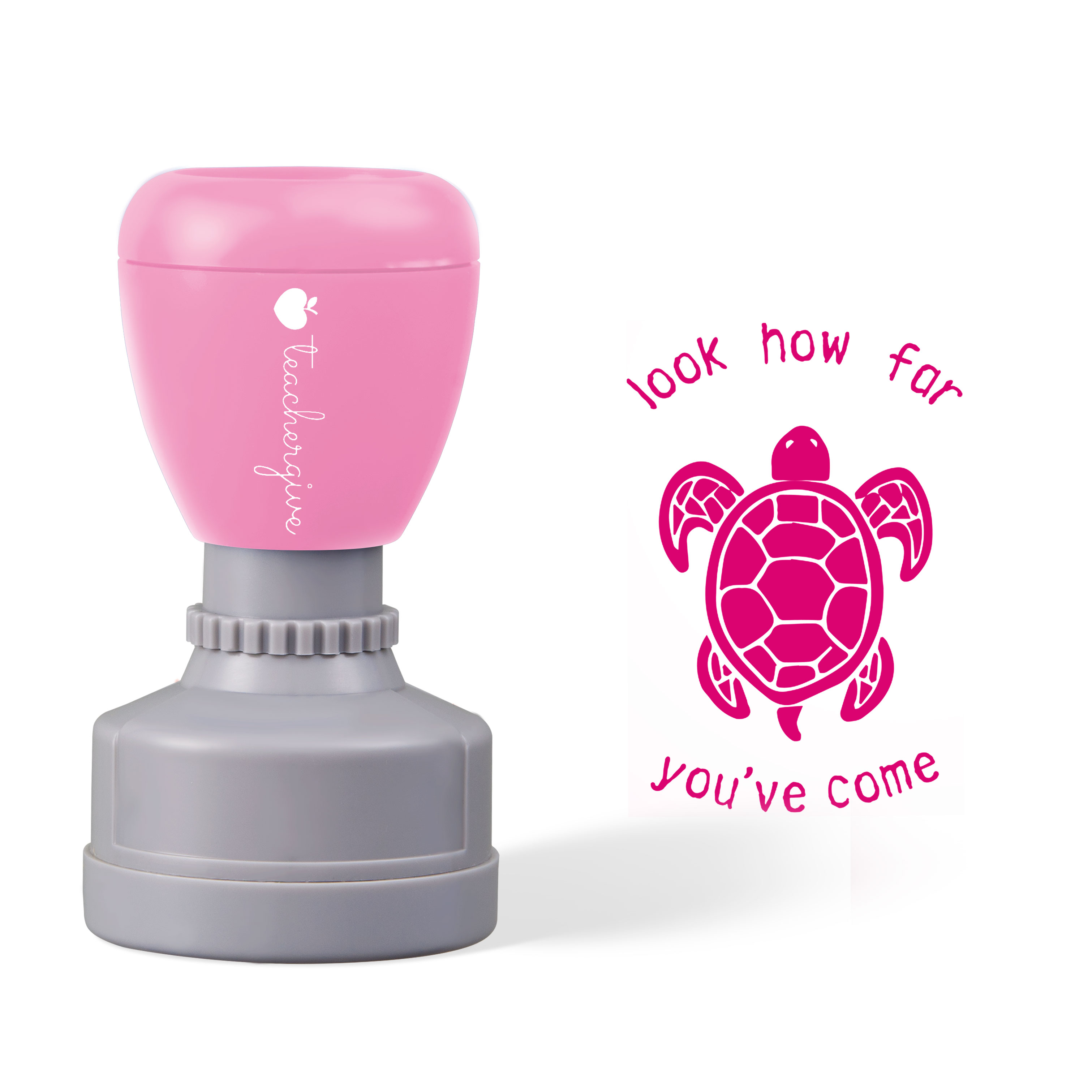 Turtle Teacher Stamp