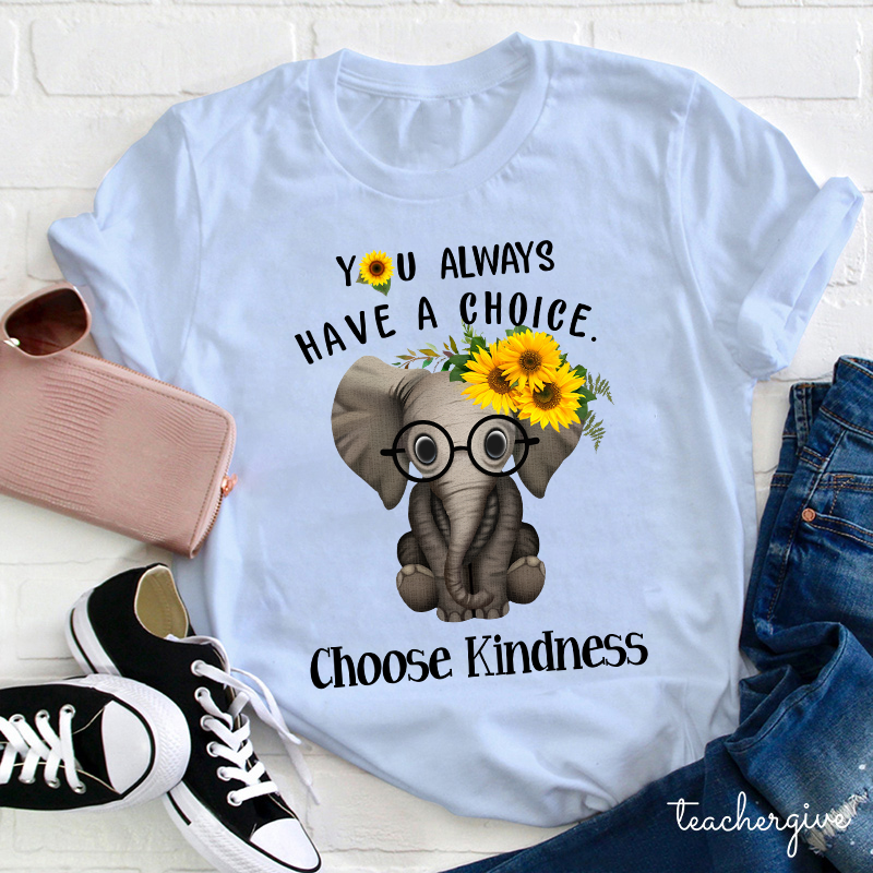 You Always Have A Choice Choose Kindness Teacher T-Shirt