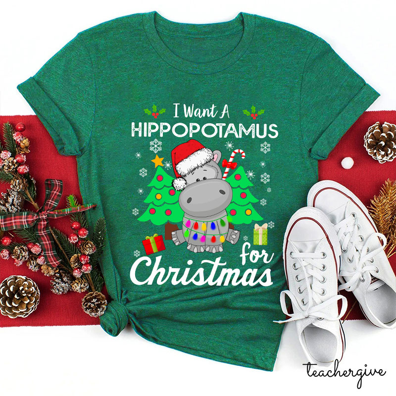 I Want A Hippopotamus For Christmas Teacher T-Shirt