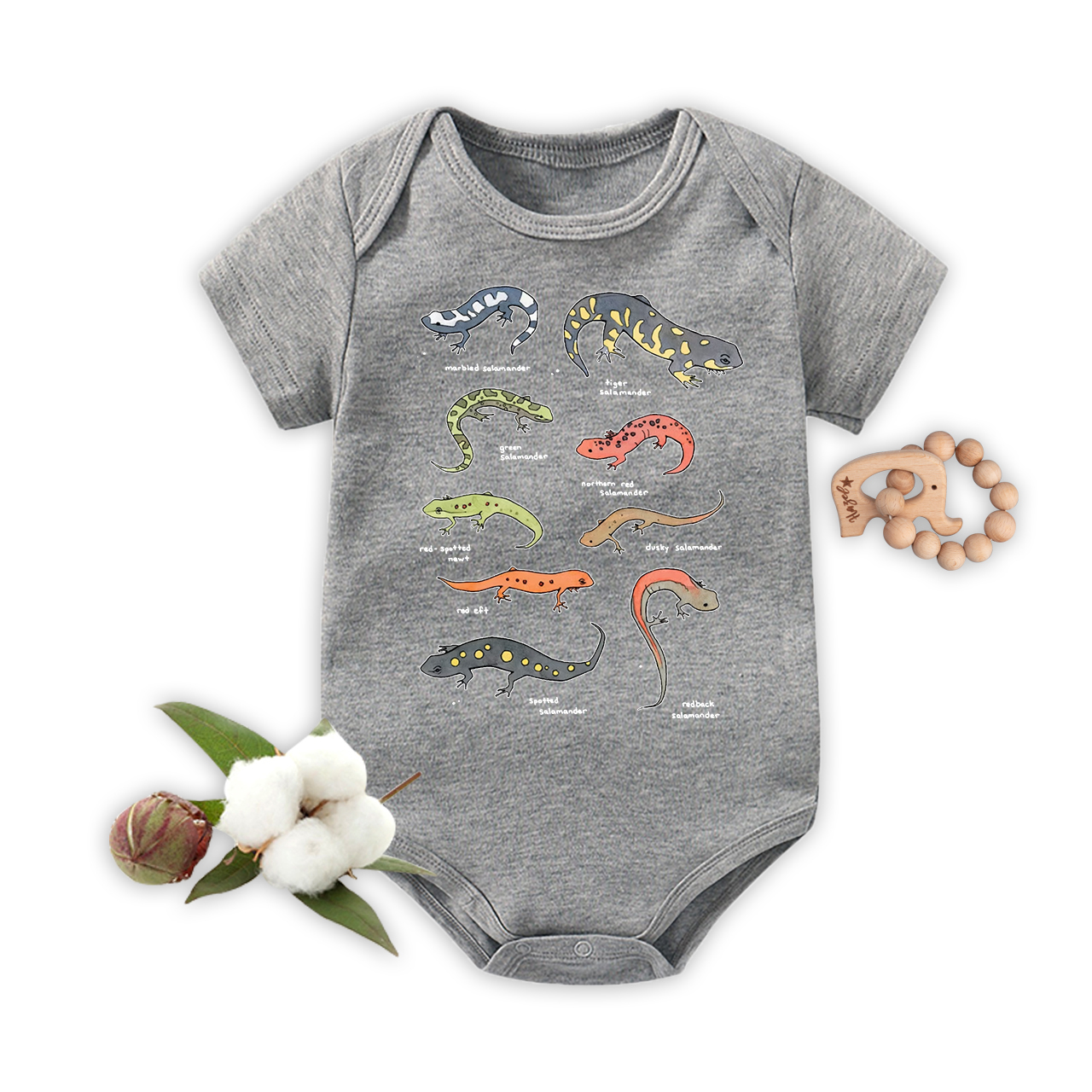 Salamanders Chart Bodysuit For Baby