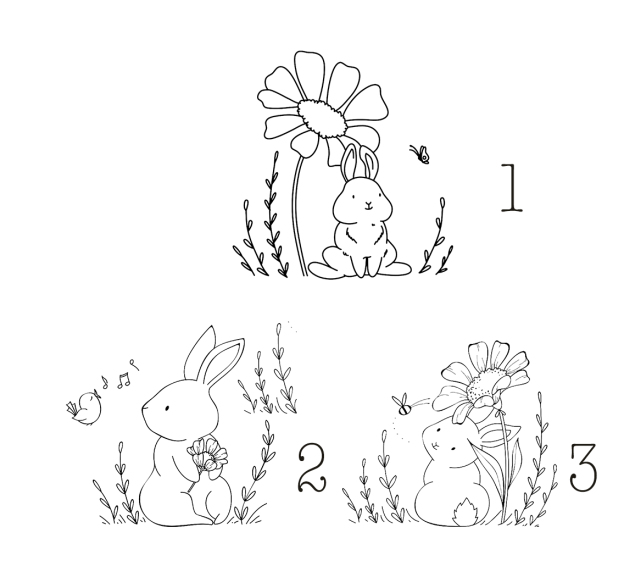 Rabbit With Butterfly Three Designs Toddler Shirt