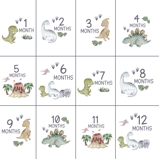 Milestone Dinosaur Design Bodysuit For Baby