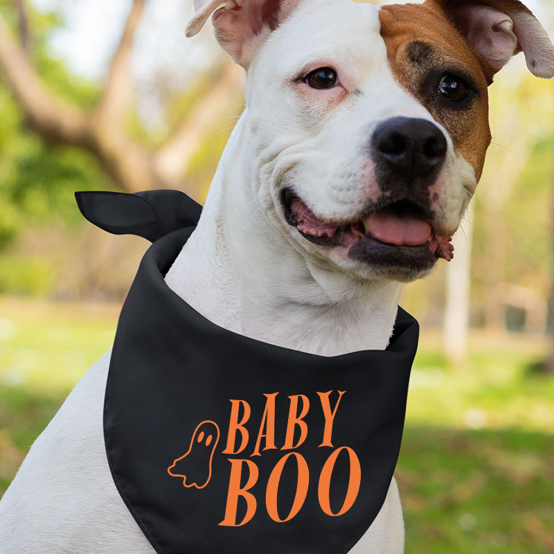 The Boo Funny Halloween Matching Family Shirts