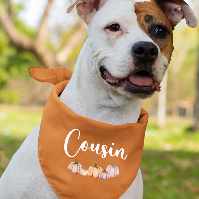 Autumn Boho Pumpkin Family Shirts