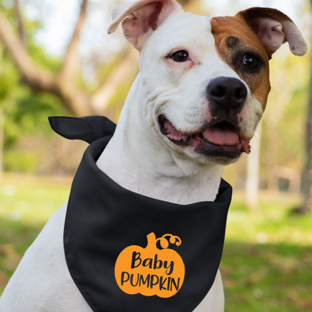 Halloween Family Pumpkin Matching Shirts