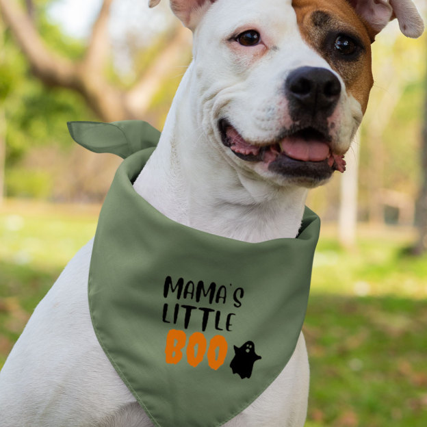 Spooky Mama and Mama's Little Boo Matching Shirt 