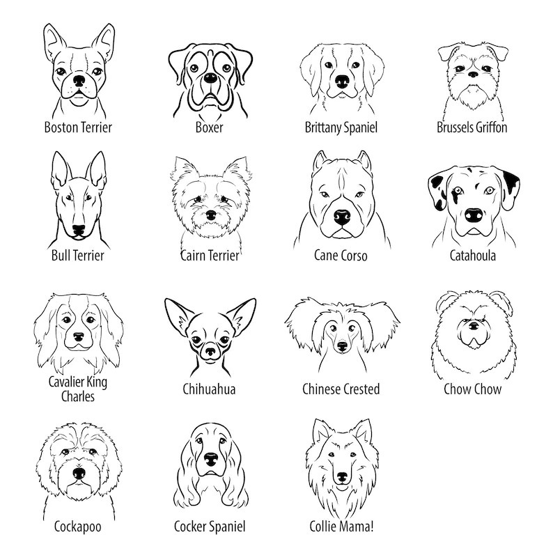 Personalized Baby Embroidery Rompers Sets (Pets)