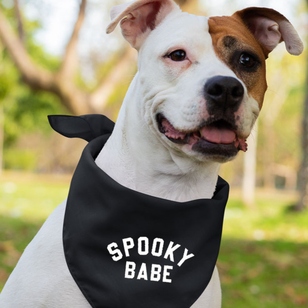 Halloween Spooky Family Matching Shirts