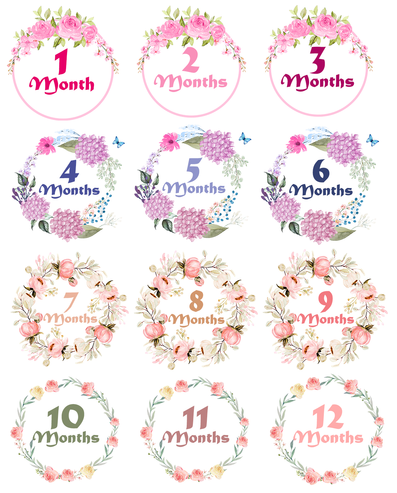 Floral Monthly Milestone Bodysuit