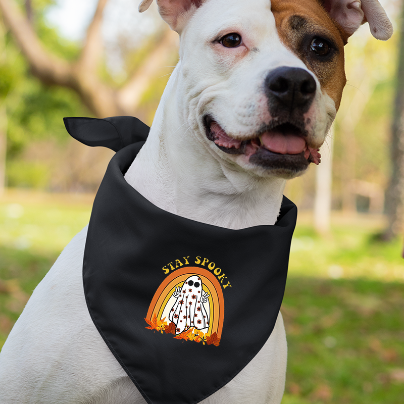 Stay Spooky Halloween Matching Shirts