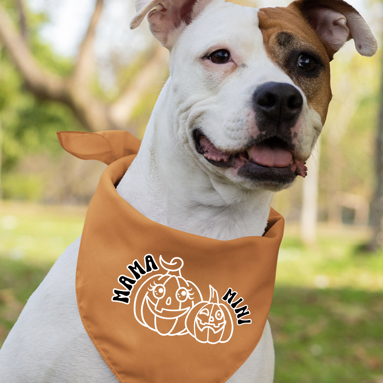 Halloween Pumpkin Mama Mini Mom&Me Matching Shirt