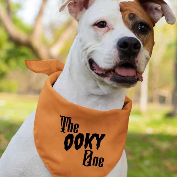 Funny Halloween Friend Creepy Kooky Group Shirts