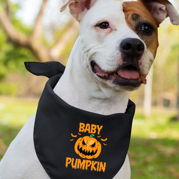 Personalized Funny Pumpkin Matching Family Halloween T-Shirts