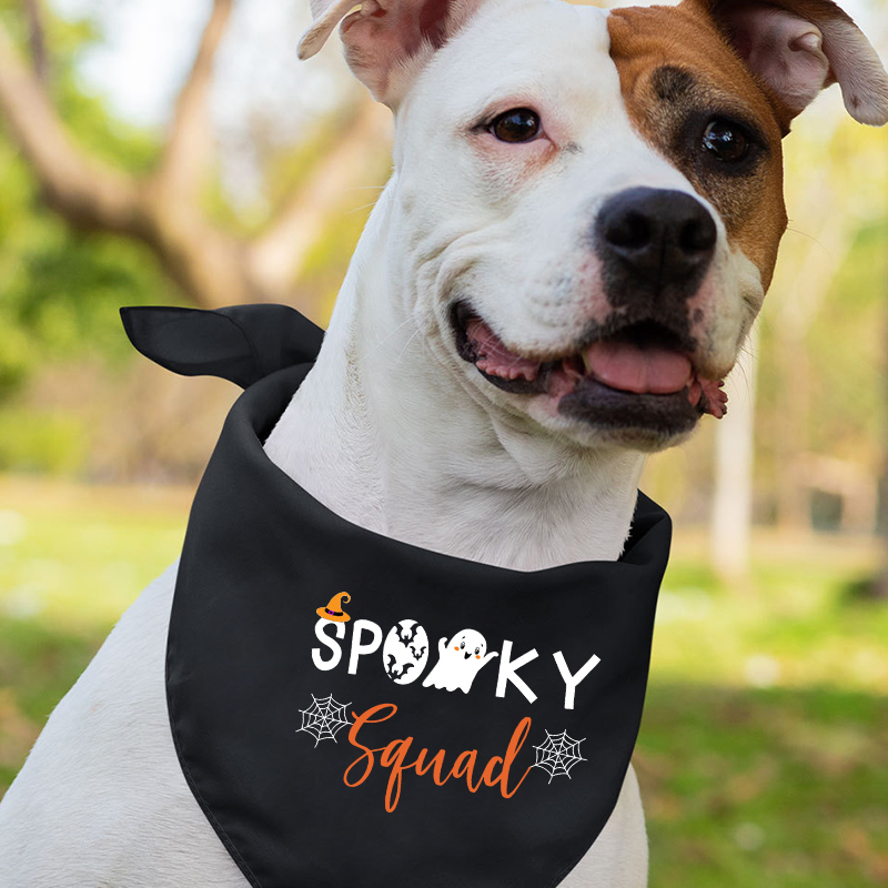 Spooky Squad Halloween Family Matching Shirts